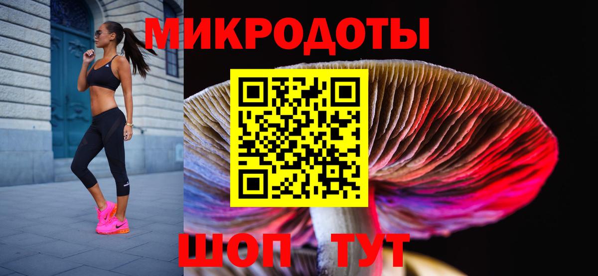 Сунжа  Псилоцибиновые грибы прущие грибы  Вход с VPN 