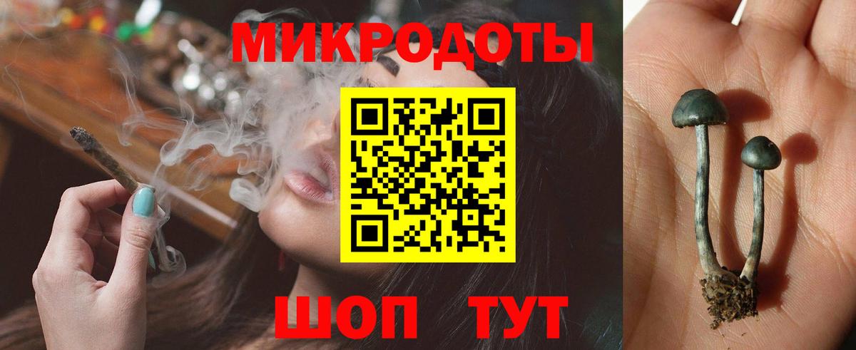 Псилоцибиновые грибы GOLDEN TEACHER Сунжа