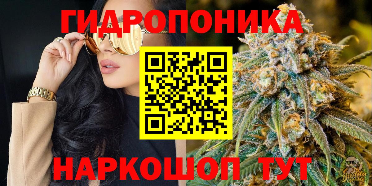 Марихуана планчик  Канабис планчик  Вход с VPN  Шишки марихуана VHQ  Сунжа 